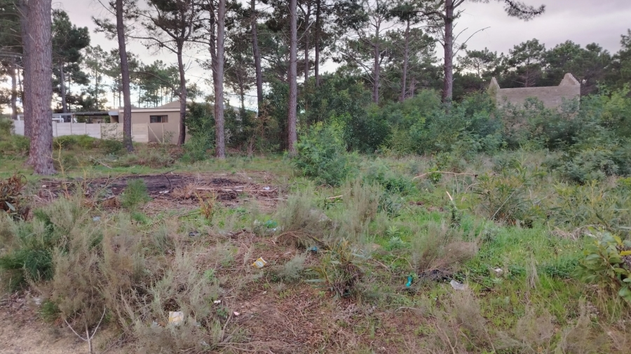 0 Bedroom Property for Sale in Bot River Western Cape